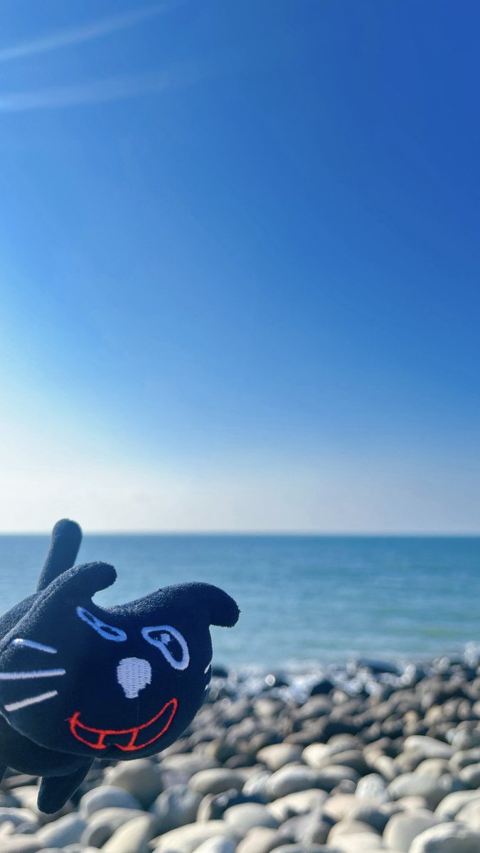 toutou_ko's tweet photo. ☀️🌊😼🌅 https://t.co/4kEH9x3YNK