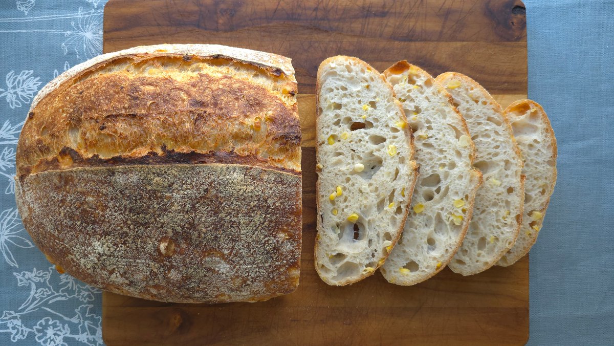 breadtopia's tweet photo. Harvest Corn Sourdough Bread🌽a unique table bread with a porridge of both field corn and sweet corn. Pair it with your late summer vegetable dishes and fall stews, or use it for sandwiches, toast, and even French toast.
Recipe: https://t.co/eJ212o2lMr https://t.co/r3PEHCczvV