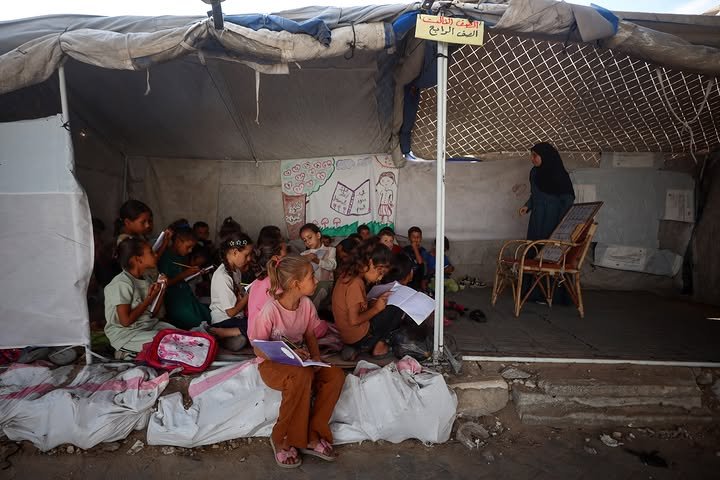 Timesofgaza's tweet photo. Education in Gaza. https://t.co/4P5PlrX4eq