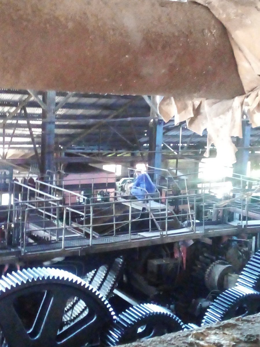 EfrenPeleg59903's tweet photo. Los industriales realizan diagnósticos en las áreas y revisión de los motores en el central #Siboney #Azucareros #PorCamagüeyTodo https://t.co/8PQNWq5CKW