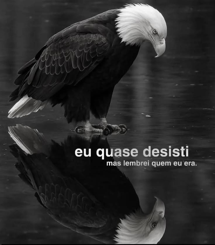 inspireipoesia's tweet photo. https://t.co/1pHKjkBPFS