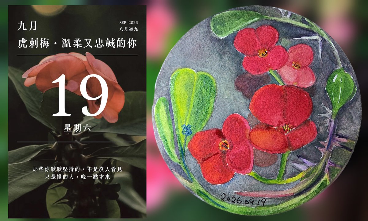 adder915a's tweet photo. 2026年09月19日
【虎刺梅】（Euphorbia milii），又名麒麟花、鐵海棠、萬年刺。
💐花語是「倔強而又堅貞，溫柔又忠誠，勇猛又不失儒雅」。
#2026年花語日曆
https://t.co/GLCDsuxIeI https://t.co/8u4NuzA1B6