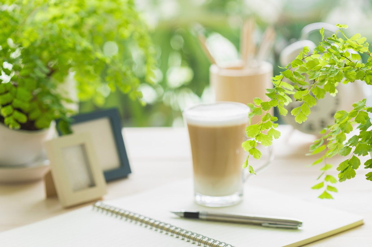 katelynlintel's tweet photo. Today’s art pick: A tiny watercolor piece capturing morning dewdrops on a windowsill—quiet, gentle, and perfect for sipping coffee while admiring. https://t.co/XvgTonQ5dg