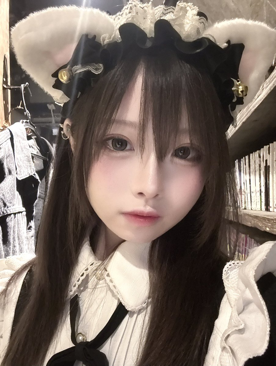 saill_n's tweet photo. ねこ https://t.co/u3AGRC3IZB