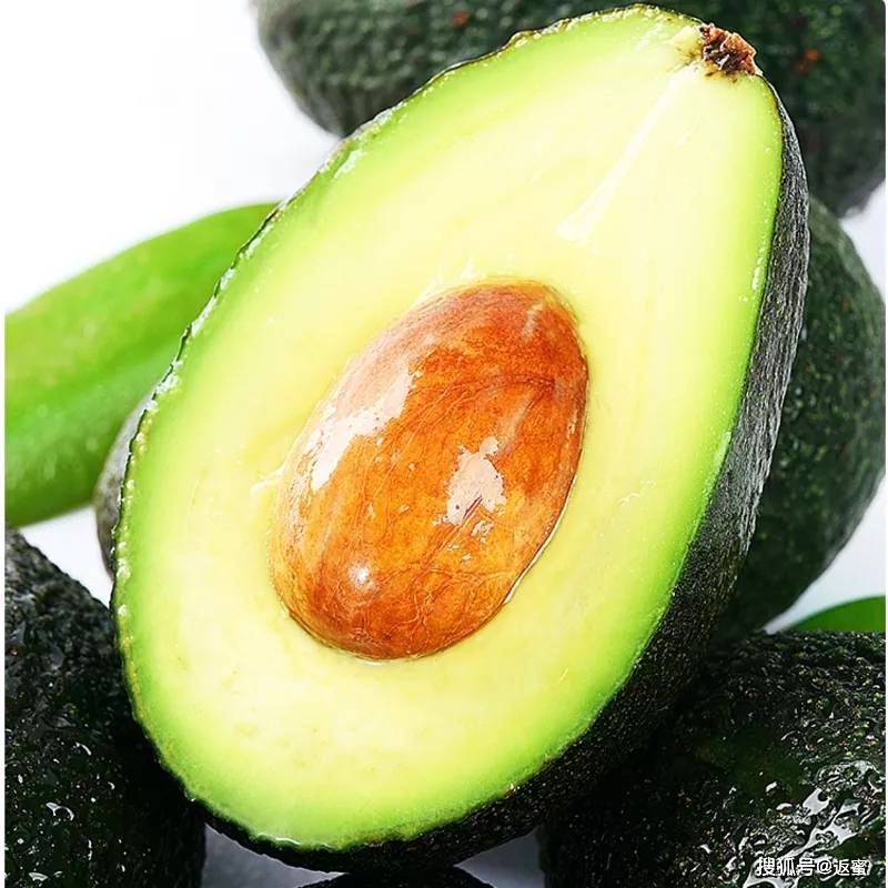 airal879965's tweet photo. Just tried the new organic avocado from local farms—smooth, rich, and packed with flavor, perfect for toast toppings!  Super fresh and worth every penny, 10/10. https://t.co/9GDs5B0a8H