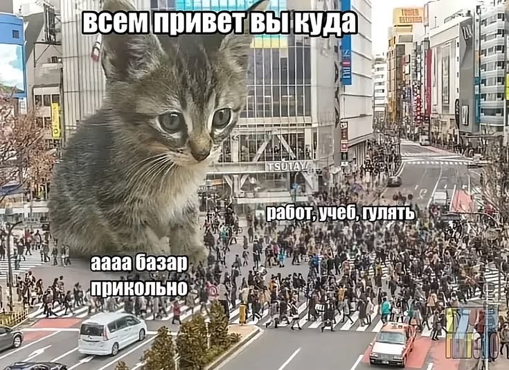 LazzyZone's tweet photo. https://t.co/aX0eHcbUiH