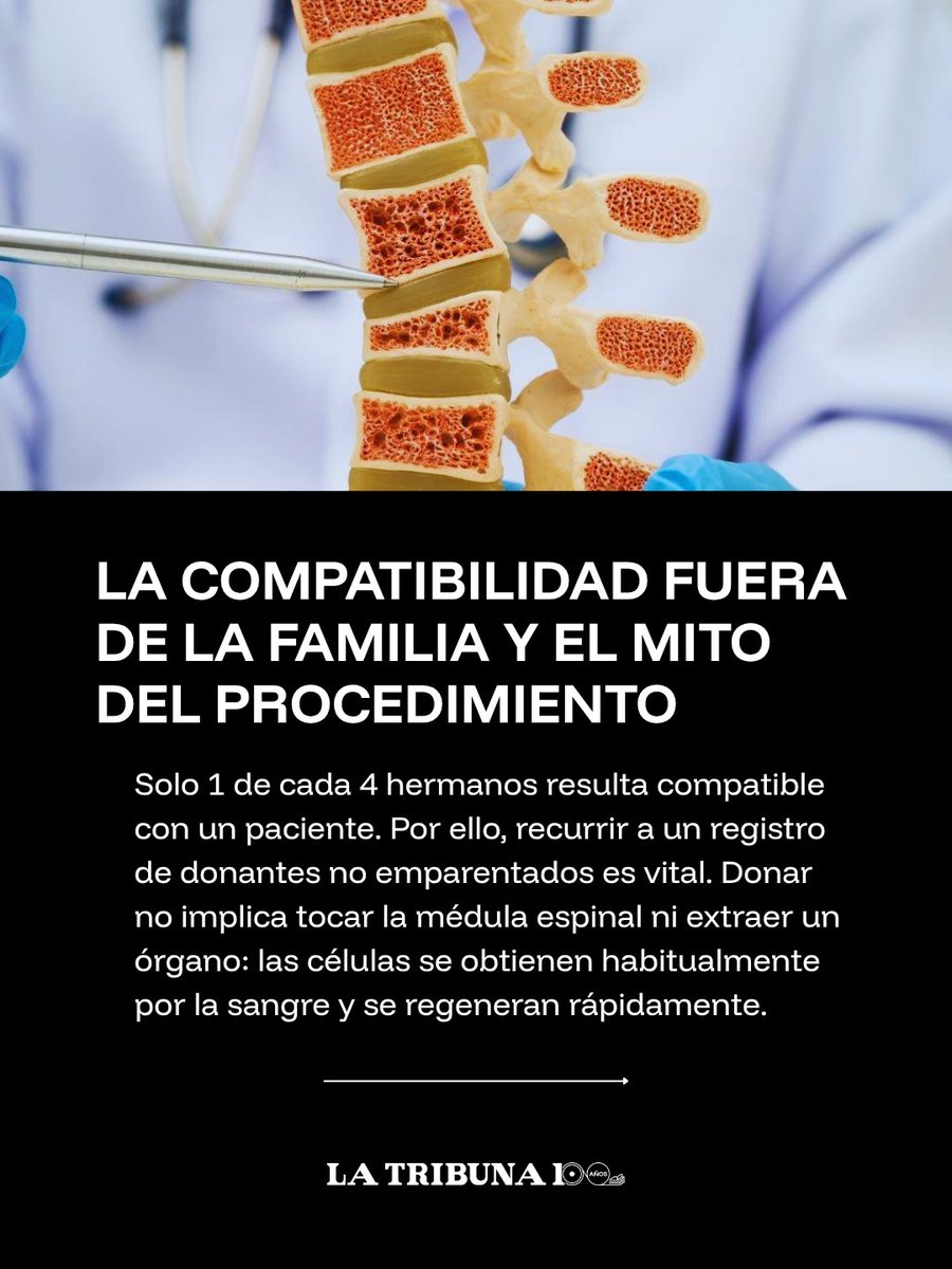 TribunaParaguay's tweet photo. 🩸 Día Mundial del Donante de Médula Ósea: un registro que salva vidas

Cada 19 de septiembre se recuerda la importancia de inscribirse como donante voluntario de células progenitoras hematopoyéticas. Ante enfermedades como la leucemia, encontrar un donante compatible fuera del entorno familiar puede ser la única oportunidad de tratamiento para miles de pacientes.

En Paraguay, el registro está abierto para personas de 18 a 40 años en la sede del INAT. El proceso inicial solo requiere un estudio de compatibilidad por hisopado bucal y no representa ningún riesgo para la salud.

➡️ Deslizá las láminas para conocer más.

#LaTribuna #LaTribunaParaguay