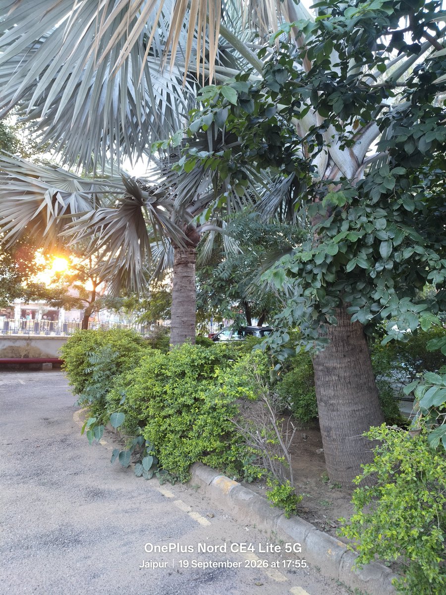 jyoti190488's tweet photo. Good evening to all 🌹
With Beautiful Sunset 🌇 
Greenery ☘️ 
तलाश सिर्फ सुकून की है.... https://t.co/G3rHCjlUHY