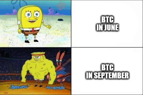 memeaffix's tweet photo. https://t.co/YuJDERdw8v