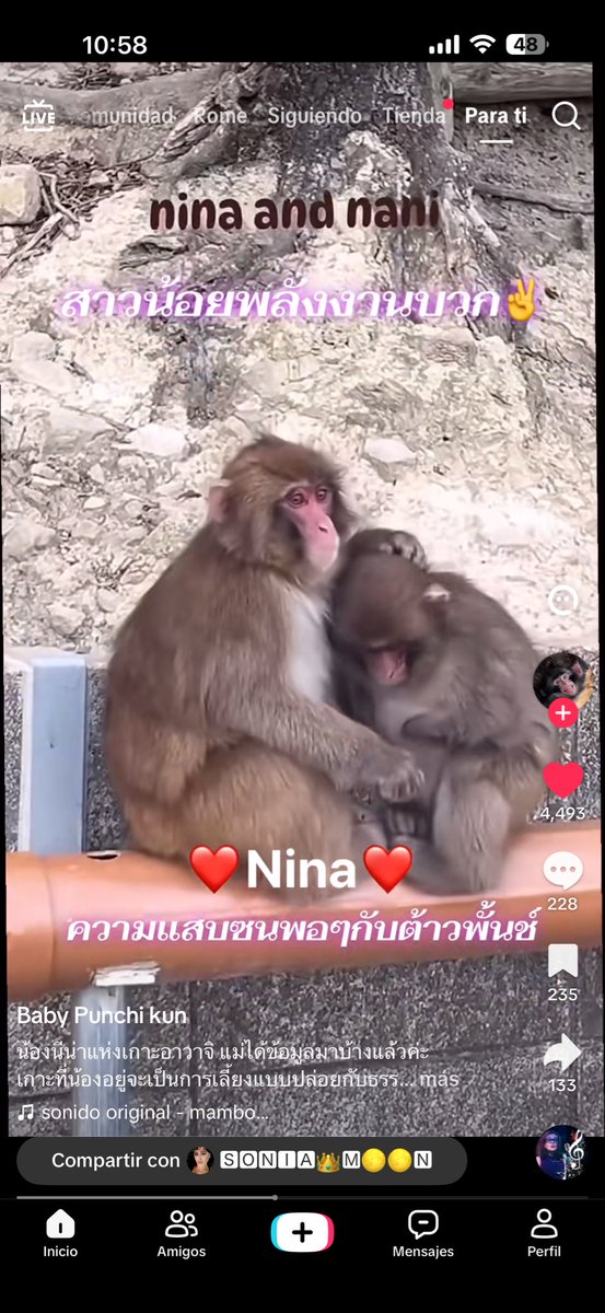 cezucc's tweet photo. @PunchandMichel Niña https://t.co/7YbhSYHXrL