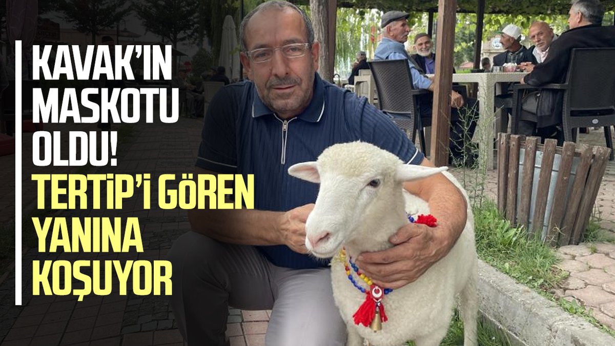 Samsungazetesi's tweet photo. Kavak’ın maskotu oldu! Tertipi gören yanına koşuyor

🔗 https://t.co/1RAEAAf925

#Kavak #Samsun #Maskot #Tertipi #SamsunHaber https://t.co/h5IC7wBuFr