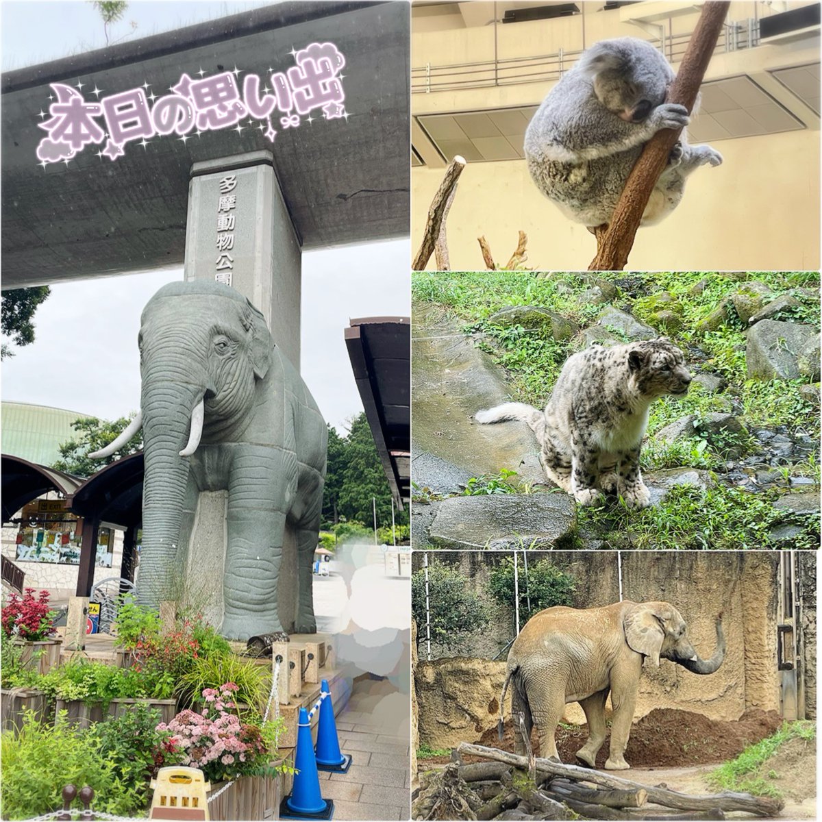 saran_W_rap's tweet photo. たまどーー��行きました！小学生の時ぶり？に行ったが記憶は薄く……すごく、“山”でした。 https://t.co/0SfaYYnMzj