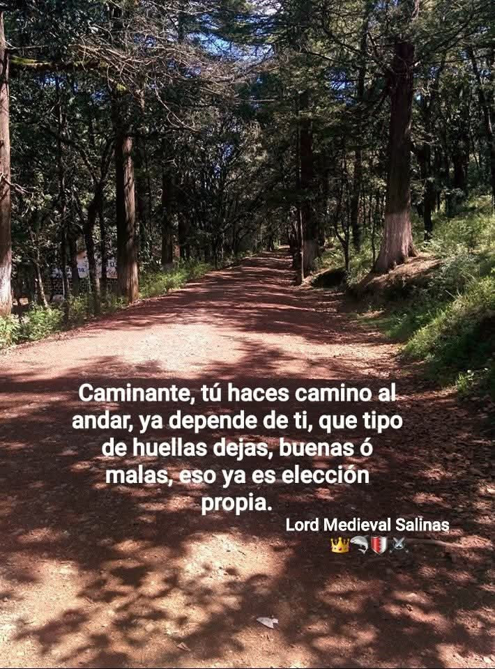 MedievalSalinas's tweet photo. #ComentarioDeUnLord https://t.co/E6H6vii10E