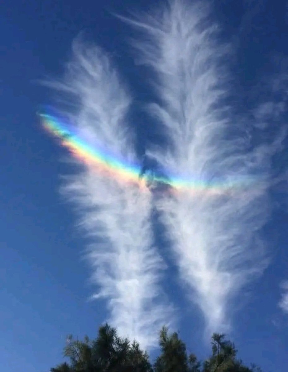 b_gimpl1234's tweet photo. The sky is one of the best examples of how little we pay attention to the world around us and how easy it is to manipulate us. Its completely changed and hardly anyone notices. If the TV says it's normal, Noone questions it. https://t.co/J0aSqnHenS