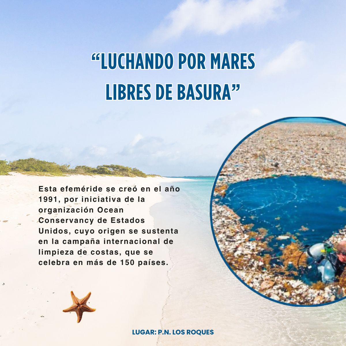UCABSustentable's tweet photo. Hoy 19 de septiembre, Día Mundial de las Playas, la Dirección de Sustentabilidad Ambiental reafirma la importancia de proteger y limpiar los ecosistemas marino-costeros frente a la contaminación. ¡Sigamos sumando esfuerzos por un futuro mejor! 

#DiaMundialDeLasPlayas https://t.co/QpqPsTf1cp