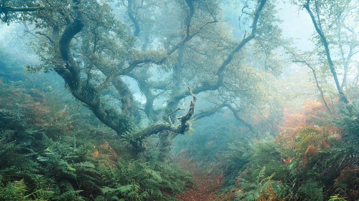 JeremyBennssh's tweet photo. Instead, he believed that mastering one's own desires, impulses, and ego through conscious boundaries actually liberates a person from being controlled by external forces or internal weaknesses. https://t.co/ES9kKRwfWy