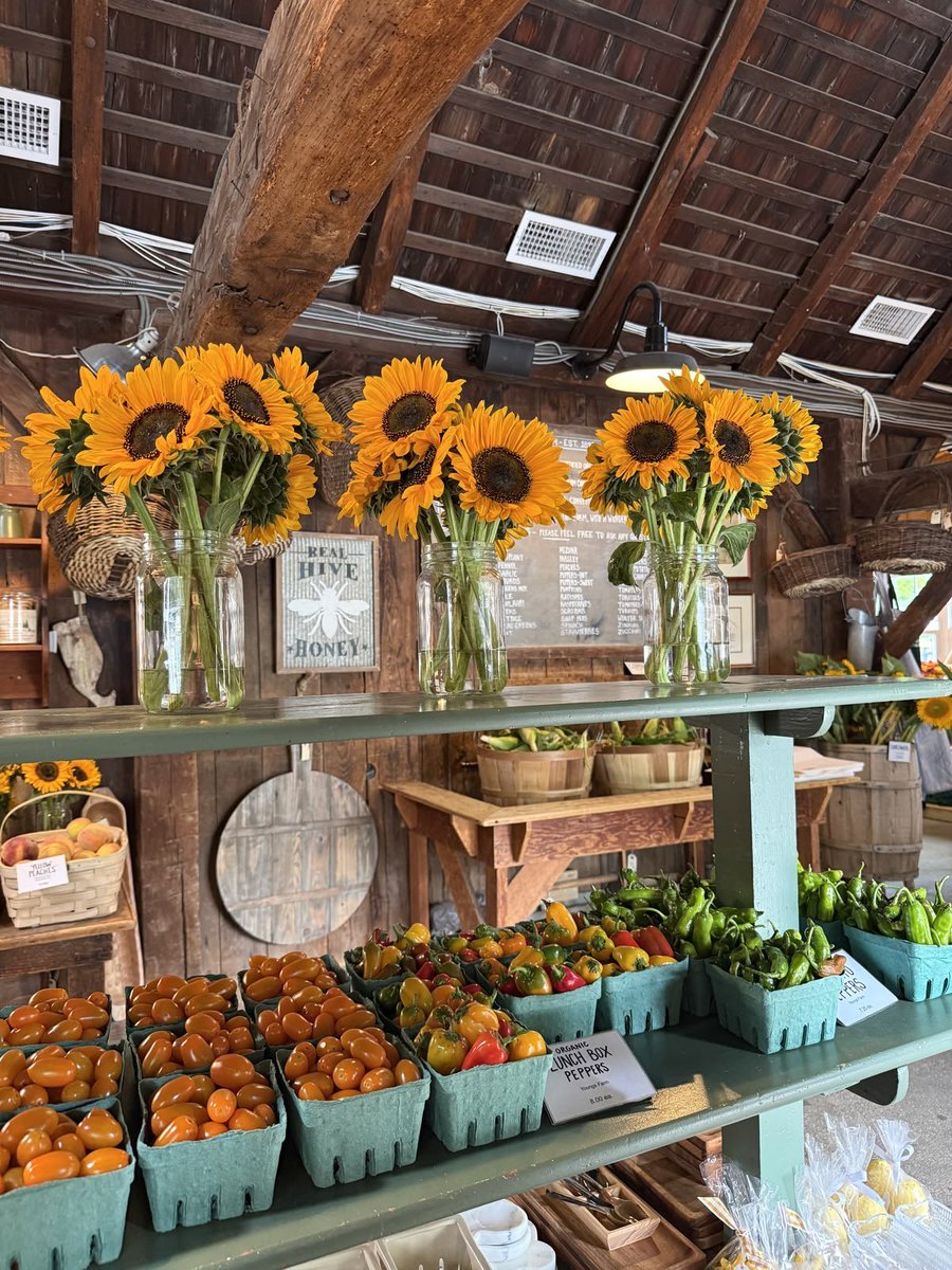 birdielangg's tweet photo. farmers market morning https://t.co/EBz5vmgBYy