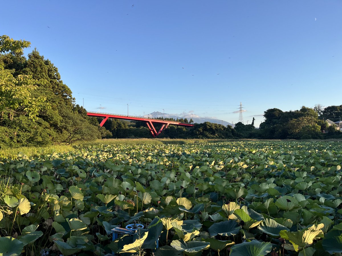 Quietsu's tweet photo. 物語の中にある風景を観てきました。 https://t.co/6WSoQzkYYW