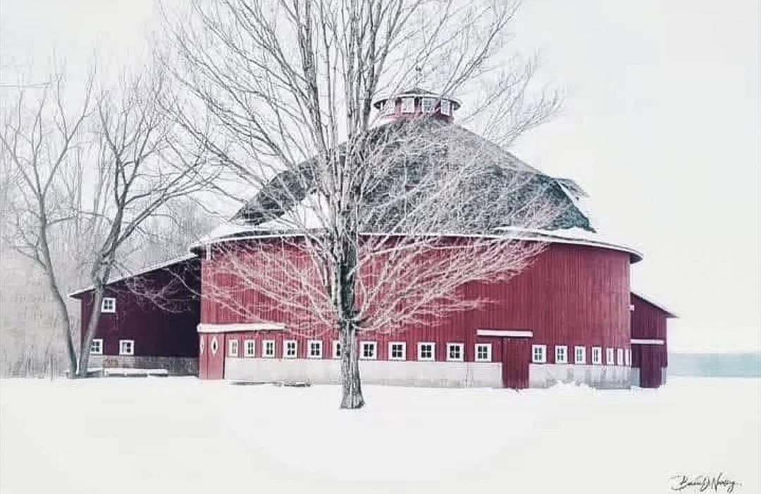 StephanieMo281's tweet photo. We circled the globe, and this remarkable rural masterpiece caught our eye! The Best of the USA, the globe, and farm life are honored to share Bonnie’s talent. Congratulations on being featured with us! Thank you for sharing your phenomenal https://t.co/O4hQnNd5o8