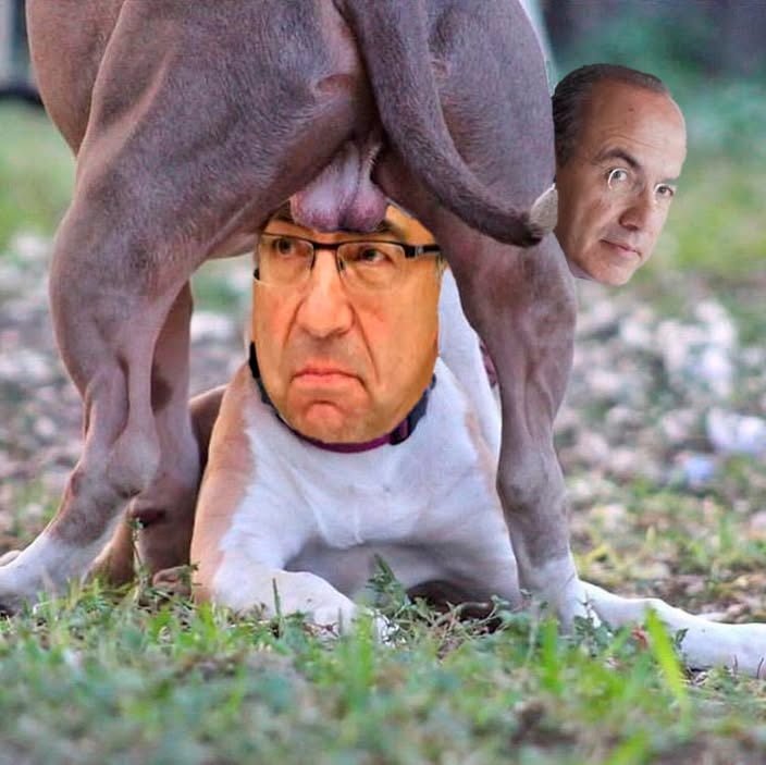 VicenteHum49340's tweet photo. pinta y parado del saco de pu @JLozanoA y su papá el borolas @FelipeCalderon 😅😂🤣 https://t.co/p0UQf1jeb1