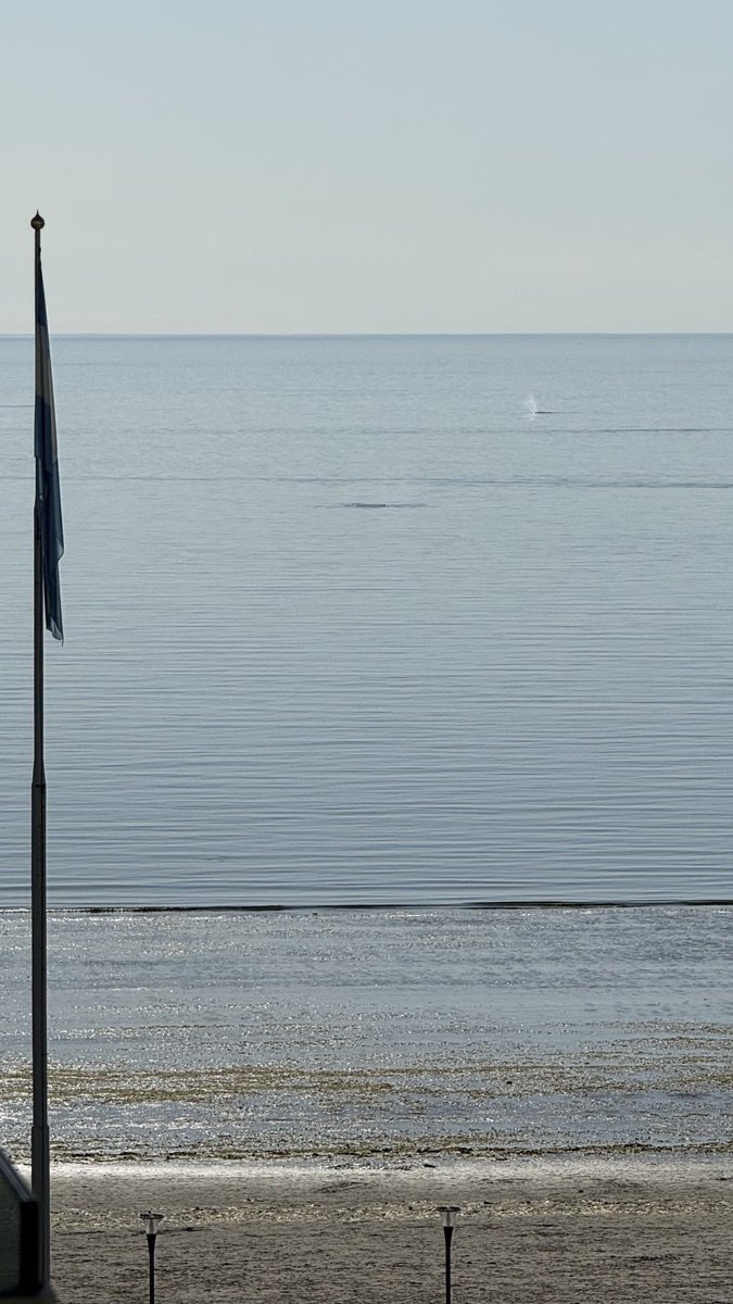 Fiorecipollone's tweet photo. Desde Puerto madryn 📍 con vista a las ballenas #unsabadomejor https://t.co/oa5vJbGsUX