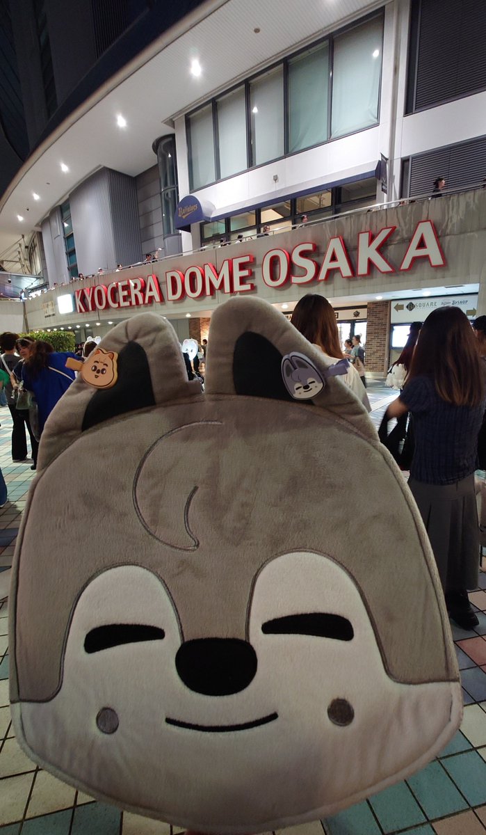 h_ak173's tweet photo. 神席すぎて卒倒するかと思った⋯⋯
大変なスケジュールな中、とても熱い素敵なライブをありがとう！！
楽しかったよーーーー！ https://t.co/F00efczvET