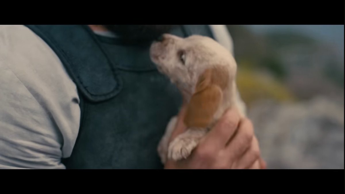 cinema_unbrkn's tweet photo. ノーランが『オデュッセイア』を作ろうと決めたきっかけは、愛犬チャーリーだった。

子どもたちが大学に行ってから初めて飼ったラブラドールがチャーリー。
それまで犬を飼ったことがなくて、「人生が変わった」とのこと。

主人を20年待ち続けたアルゴスの場面を読んだ時にグッときて、「これがこの映画をつくる理由の一つになった」と本人が話している。

撮影中の仮タイトルも「Charlie's Tale（チャーリーの物語）」だった。

奇遇なことに、マット・デイモンの犬もチャーリーという名前だったらしい。

ちなみにトム・ホランドいわく、現場で一番目立っていたのはアルゴス役の犬だったらしい。

犬のシーンの直後に自分のアップを撮る予定だったのに、撮り終えた時点でスタッフ全員が泣いていた。

ノーランは「先に犬から撮る」と判断し、犬は一発で完璧に決めた。

トム・ホランドとマット・デイモンが次のカットの相談をしていると、ノーランが顔を出し、
「おい、役者ども、さっさとやれ。俺は犬の方にいるから」と言ったとのこと。

まさか、犬の映画だったとは…！

#オデュセイア #チャーリー #アルゴス #トムホランド