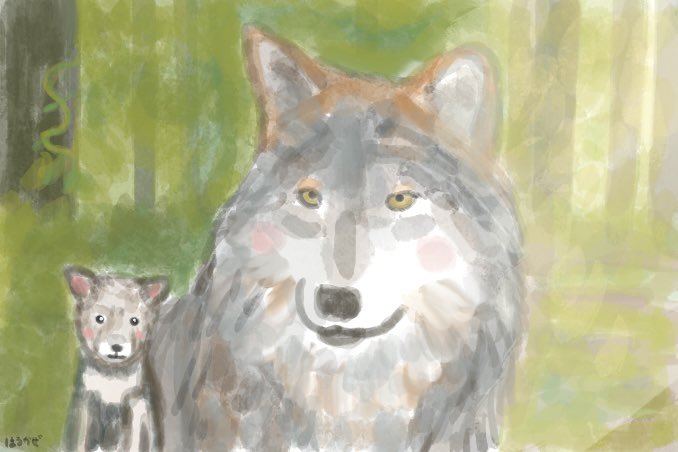 harukaze_illust's tweet photo. ご依頼イラストです

メキシコハイイロオオカミ🐺🇲🇽は絶滅の危機に瀕していると聞きました

少しでもこの事を認知して頂くための助けになれれば嬉しいです https://t.co/oyUnQ28mBf