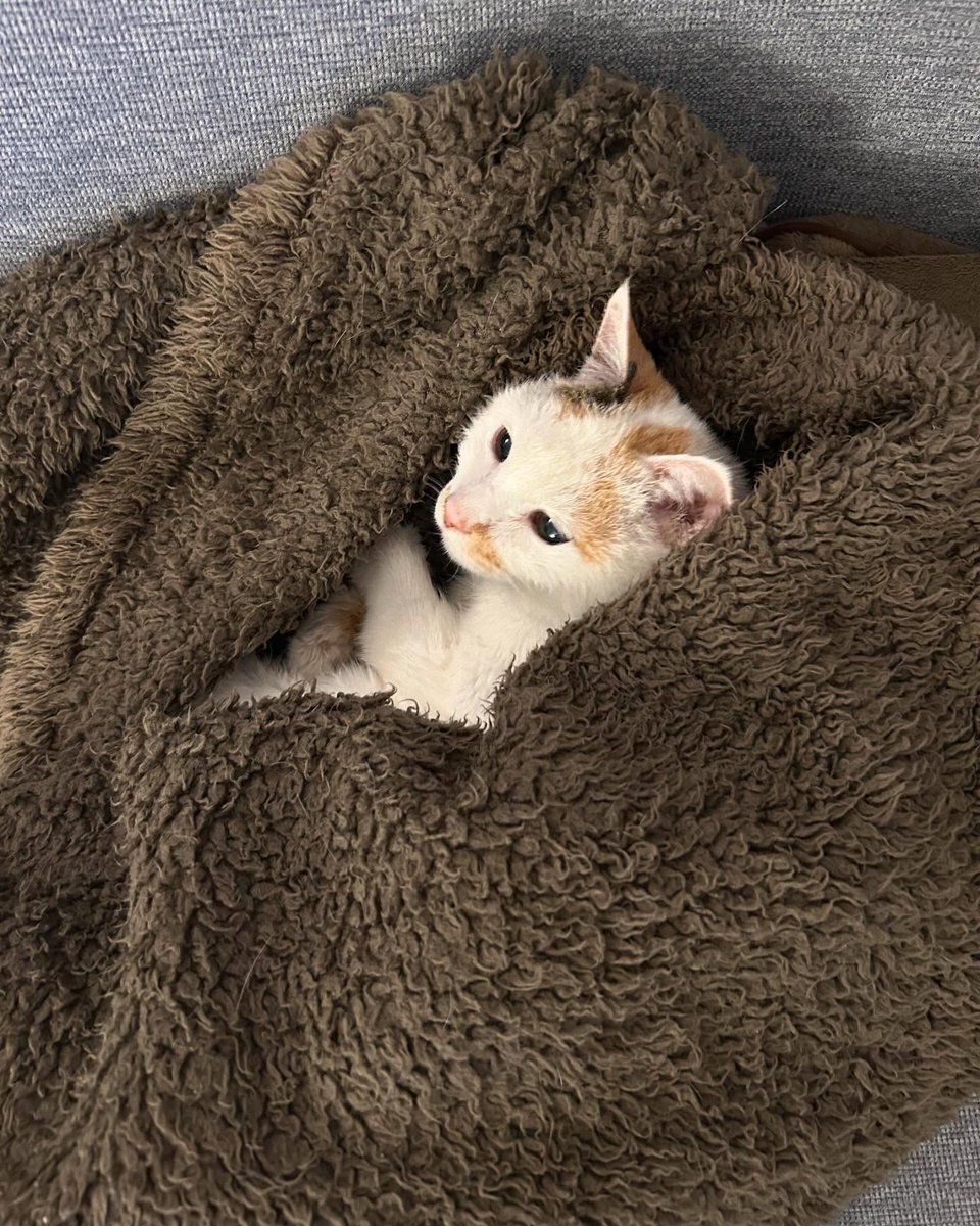 AntoneGaroner's tweet photo. Finding a secure corner to exist in is a soft way to resist the static... https://t.co/nlJZMJzXJS