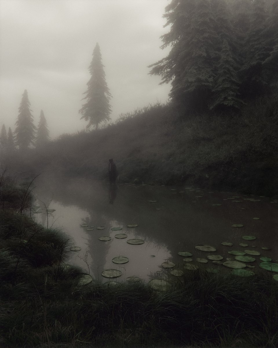 huleeb's tweet photo. contemplative https://t.co/e0loDiTXMo