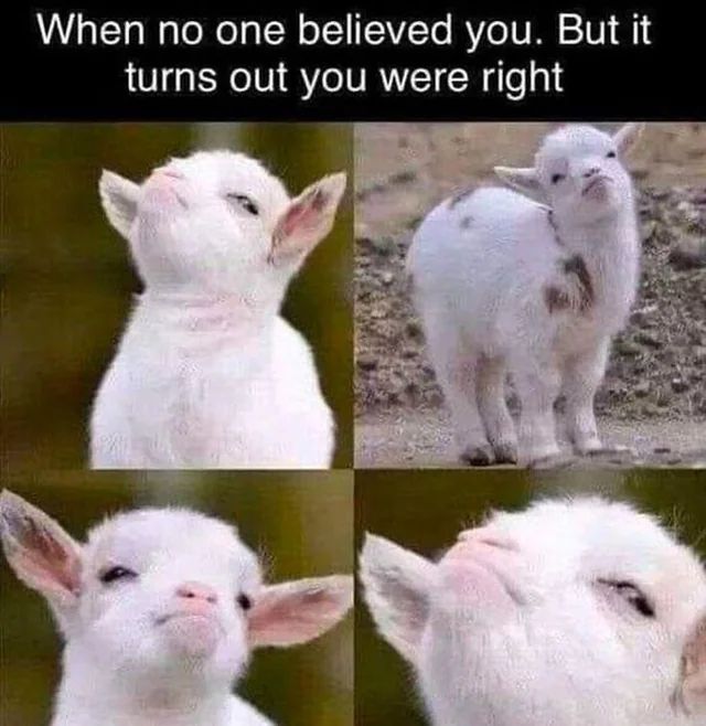 MemesToView's tweet photo. https://t.co/SUIXNyUpTe