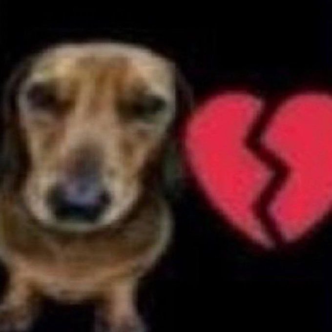 SolidSnake0993's tweet photo. @TuT_xwx Quiero queque💔💔💔 https://t.co/3c9z1Ksn3w