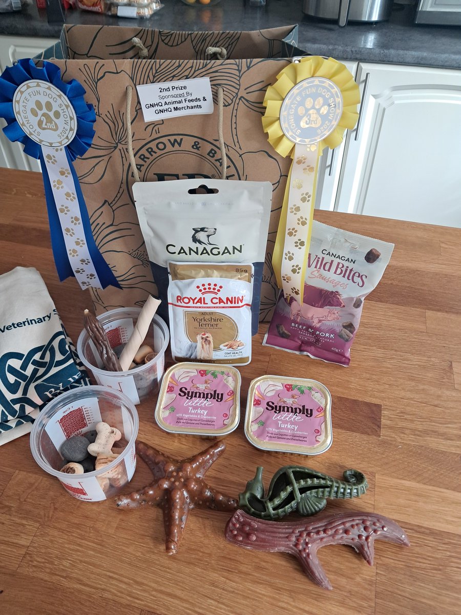 fionajane987's tweet photo. Super proud of my little one for getting selected for both categories I entered her in. #stonegate #dogshow. She really is adorable. Even my cat loves her. #cockerspaniel https://t.co/QXQj0dbSij