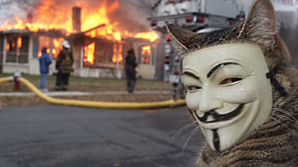 VCATBASE's tweet photo. We found 134 $VVV worth of dividends from before we burnt 20.5% - so we swapped it all to $VCAT and burnt that too.

Remember, remember, the Fifth of November,
Gunpowder treason and plot.
I see no reason why gunpowder treason,
Should ever be forgot. https://t.co/YlZlq6jf6n