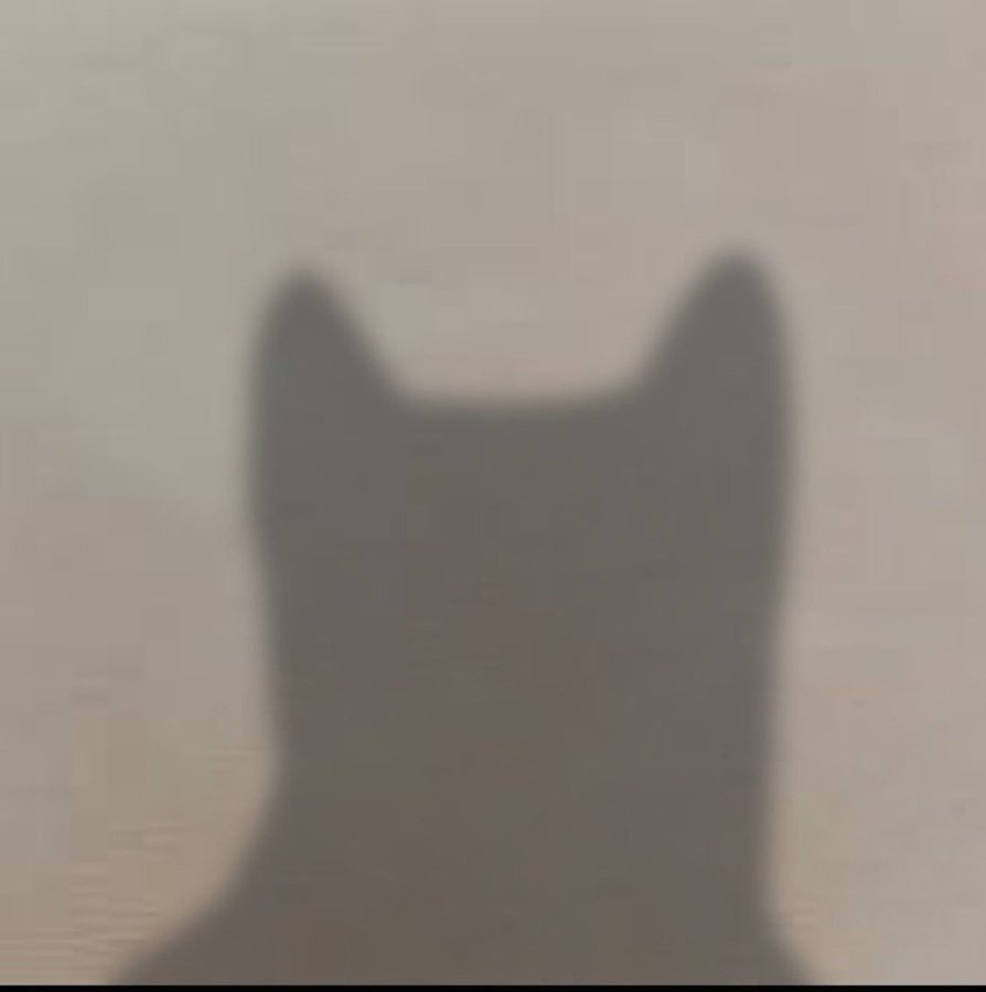 gmghcap's tweet photo. @cryptoodude123 @impixiecat @fomo There is no name
There is no ticker 

Just a lil cult https://t.co/8DFat2eGtO