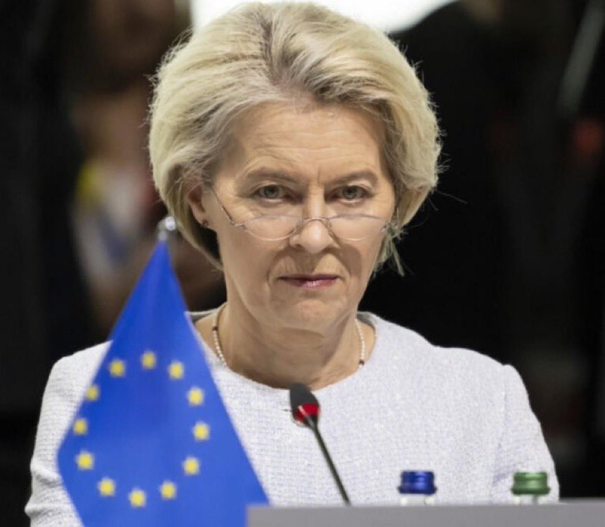JFKPASCAL's tweet photo. 🚨🇪🇺REMEMBER : Elon Musk just put the EU chief back in her place!

Von der Leyen was preaching about "democracy" until Musk hit her with a truth bomb:

"If democracy is the foundation of freedom, surely your position as leader of the EU should be elected directly by the people?" https://t.co/Tv18fPaAkO