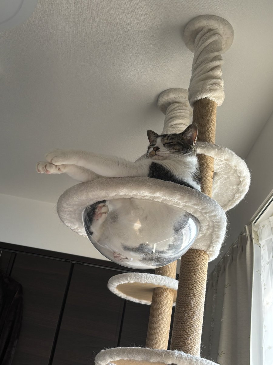 usa20208686's tweet photo. 今日のルカくん https://t.co/KH28oTgph2