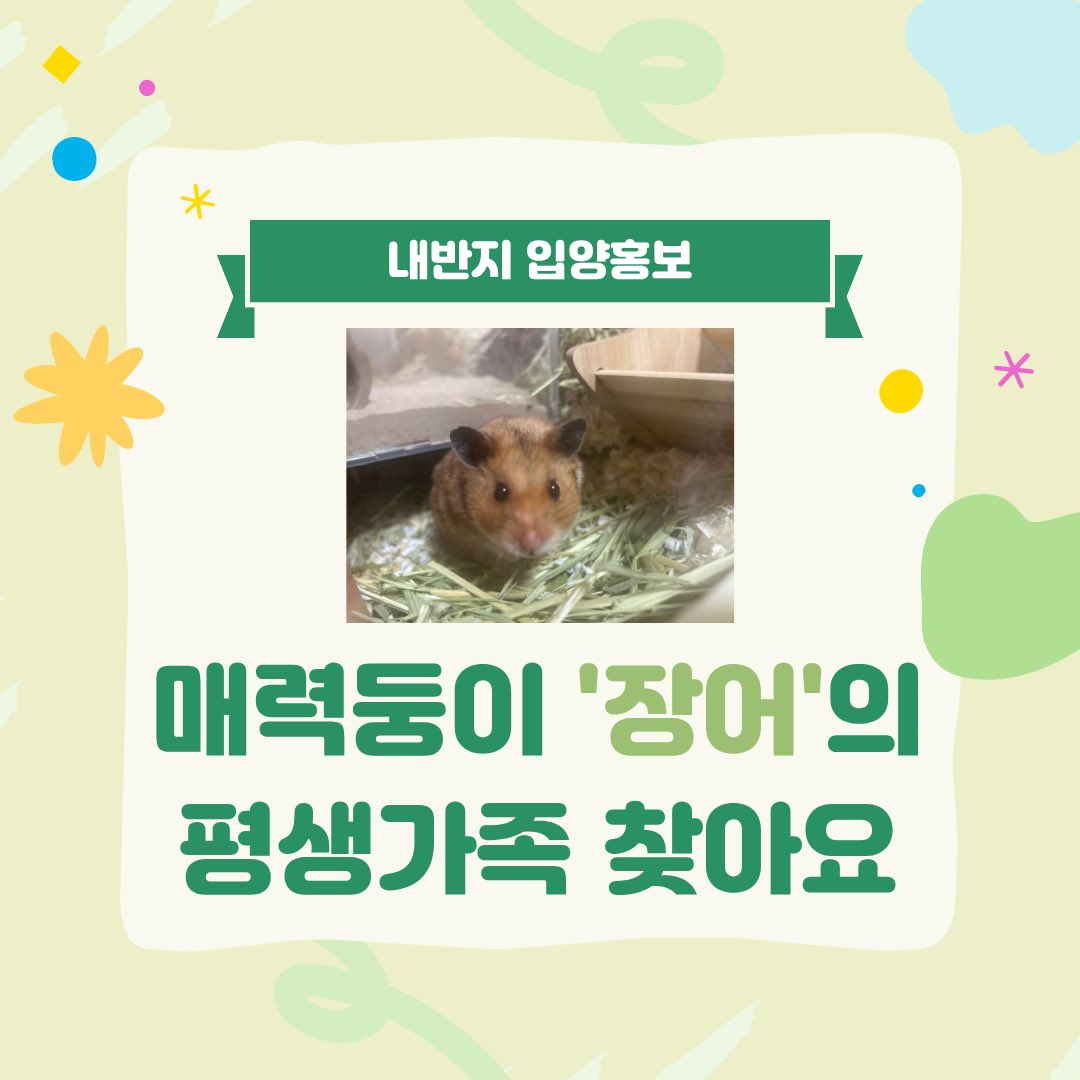 zyorang's tweet photo. 매력둥이 장어가 평생가족을 찾아요!
카드뉴스 내용 정독 후
편하게 입양문의 주세요☺️ https://t.co/UxnzXlcZPS