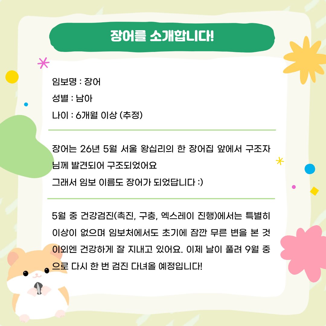 zyorang's tweet photo. 매력둥이 장어가 평생가족을 찾아요!
카드뉴스 내용 정독 후
편하게 입양문의 주세요☺️ https://t.co/UxnzXlcZPS