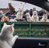 knwonas tweet picture