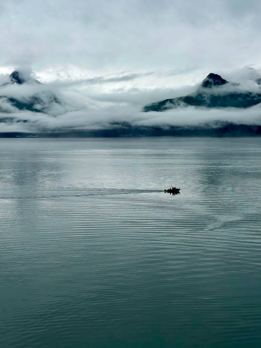 JosefineMis0c's tweet photo. is connection just a series of pauses we mistook for progress? we move, yet the silence seems to remain unchanged. 🌫️ https://t.co/9PkSwhWZQx