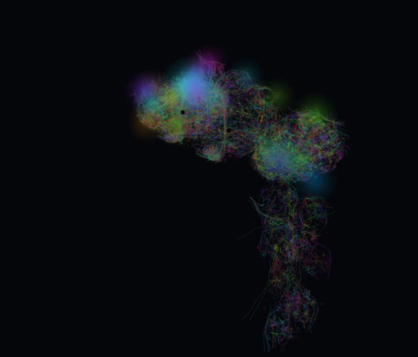 LiXi381m's tweet photo. A FLY BRAIN IS MINING BITCOIN.

FutureBit developer Zentrix just dropped "Hashfly" a fly's brain mining Bitcoin.

The idea sounds crazy, but the efficiency claim is even crazier:  ~1 watt per terahash if scaled to real organic neurons.

That would be around 10× more energy-efficient than leading 3nm silicon ASICs.

https://t.co/OneZdDDyJn

https://t.co/g2Qc9zPlfW

They ran a previous project to millions a few weeks back, this could be GENNY.