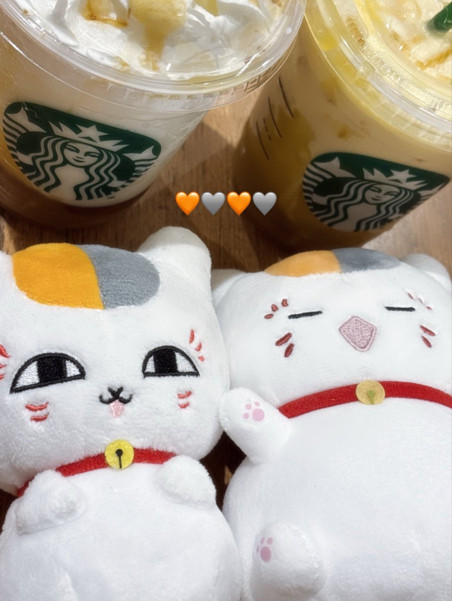 nyan_Re2's tweet photo. フユちゃんとにゃんこ先生を連れてお茶したよ〜
お芋フラペチーノ毎年当たり(🍠•᎑•🍠) https://t.co/2zWmgJN0AE