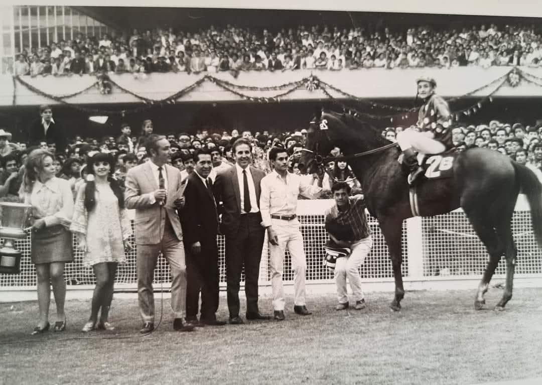 HORSERACING1002's tweet photo. GUADAMUR 🇲🇽 1966
(TALGO II ▪︎ MELUSINA BY MY BABU)
#Guadamur https://t.co/dyUXRNNtki