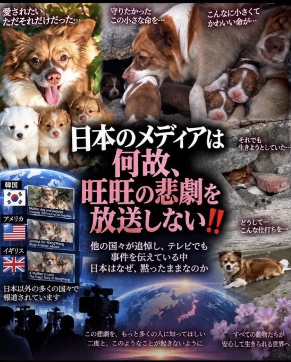 slainslainslain's tweet photo. 旺旺ちゃんのことを早く日本でもニュースとして報道してください！
ここまで声が大きくなっている状況を永遠に無視するおつもりですか？
ここまで日本が報道しないと、『旺旺虐待事件を、中国と同じように、日本のマスコミも隠蔽しようとしている』ということです🔥🔥🔥
#旺旺
#Anonymous https://t.co/wvBrU4cuZc
