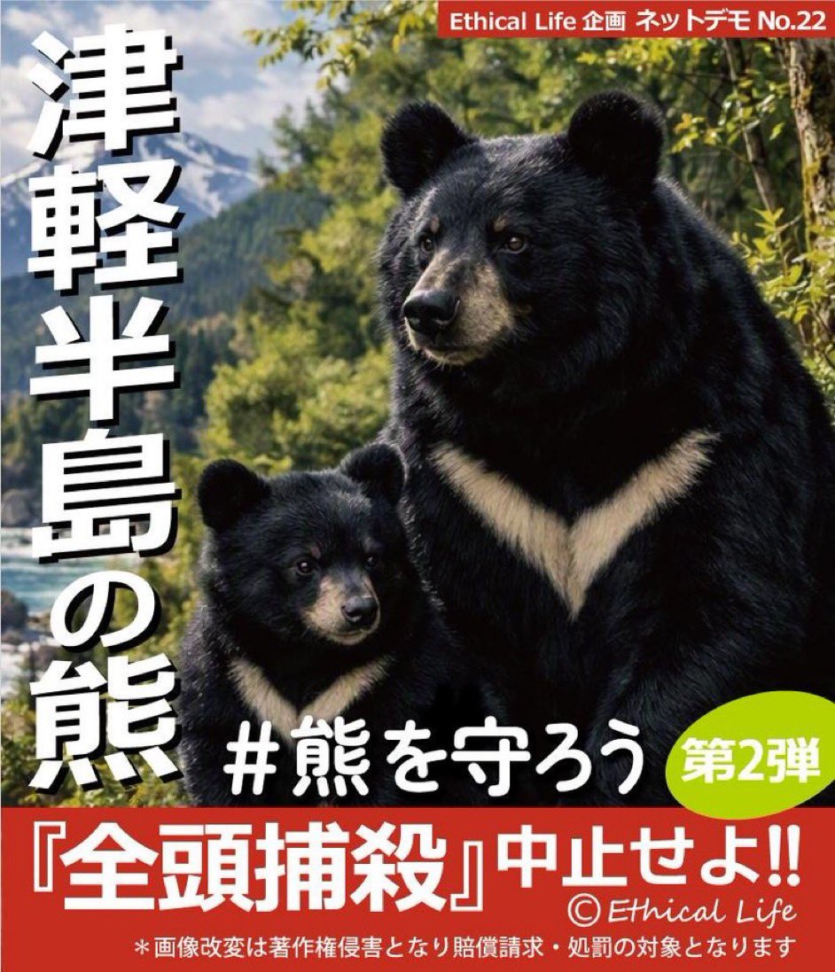 jXRLm0mZ3L5vjuN's tweet photo. 青森〜💢
津軽半島の熊を皆殺し⁉️
まだまだソーラーパネル、風力発電
データセンター誘致の為⁉️
ゴミ箱設置、緩衝地帯をつくる、熊の保護区を作る等々
やることあるでしょ‼️
全頭駆除、絶対反対！
予算はそちらに使ってください！
自然を壊す事に税金使うな😡

＃熊を守ろう
＃メディアに騙されるな
＃熊は臆病な動物