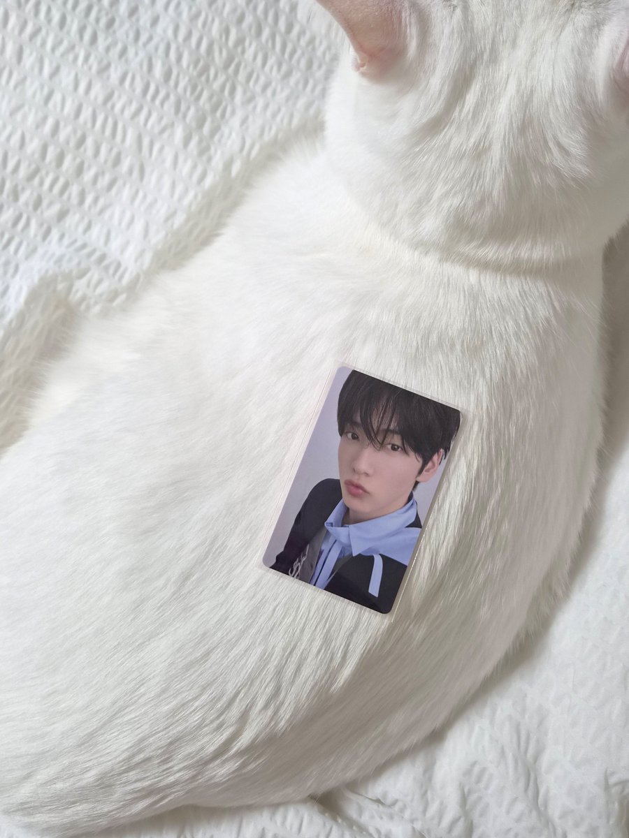 _choisoup's tweet photo. 라쿠텐럭드 드디어 내손에🤍 https://t.co/HoOvdjwixJ