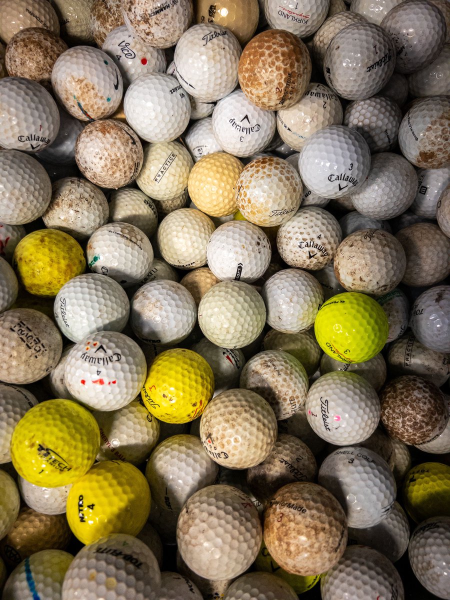 qemtph618's tweet photo. A compact survey ended, then I played golf at the lakeside grove by the wooden terrace. Under cool tones, presentation urgency gave way to open balance and physical focus. #WeekendGolf #FunOnTheCourse https://t.co/FGhZaVG6D3