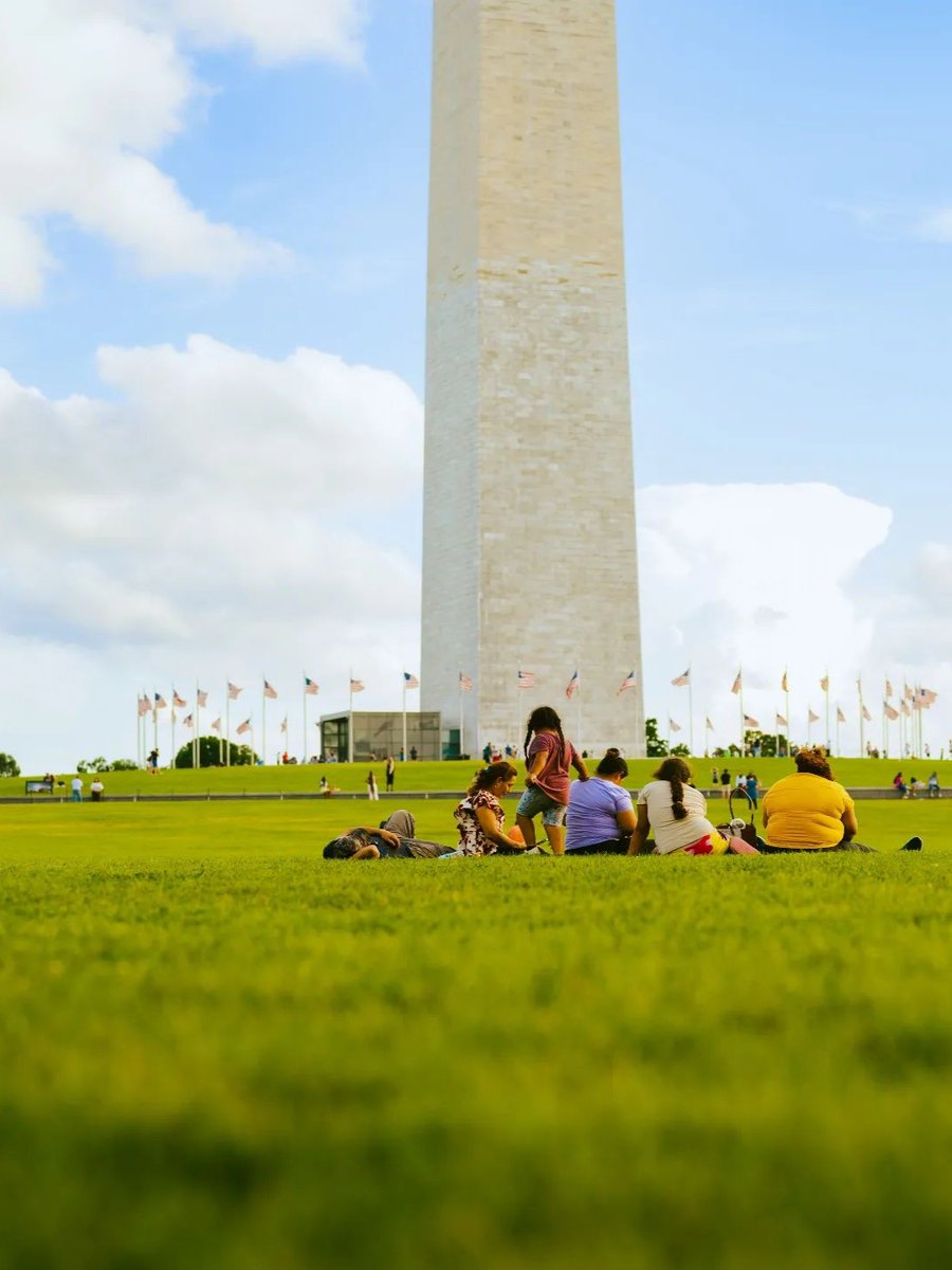 washingtondc's tweet photo. Holding onto these sunny DC days for as long as we can. ☀️💌

📸: cliffdja_photography, evelinaintheus, laepelba, daniel.veme / IG #Only1DC https://t.co/OT1BGyBVtw