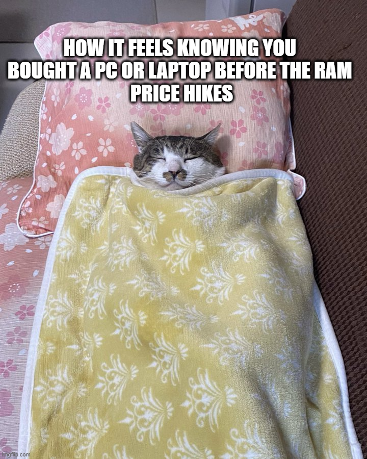 naiivememe's tweet photo. https://t.co/z5IQqQRxwe